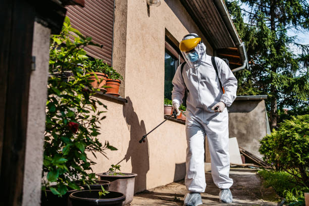 Best Pest Inspection Near Me  in Ephraim, UT