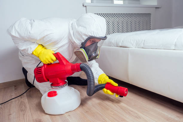 Best Pest Control Near Me  in Ephraim, UT