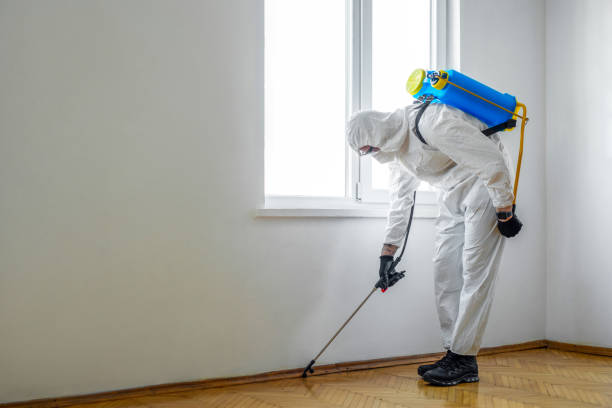 Best Wildlife Control Services  in Ephraim, UT