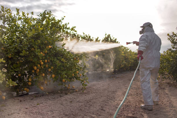 Professional Pest Control in Ephraim, UT