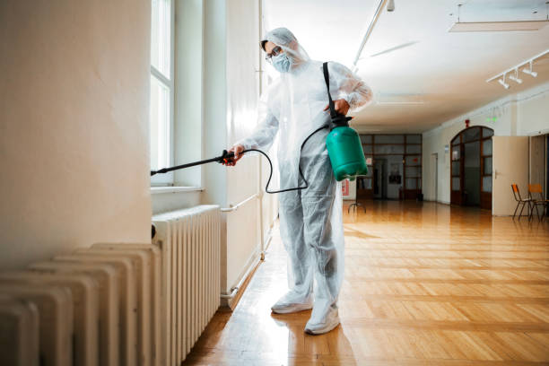 Best Wasp Removal Services  in Ephraim, UT
