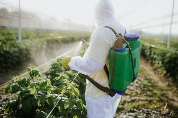 Best Pest Removal Services  in Ephraim, UT